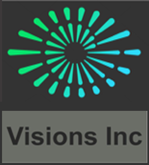 Visions Inc business transformation experts